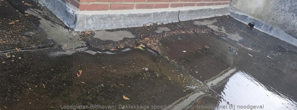 Daklekkage Spoed Bilthoven