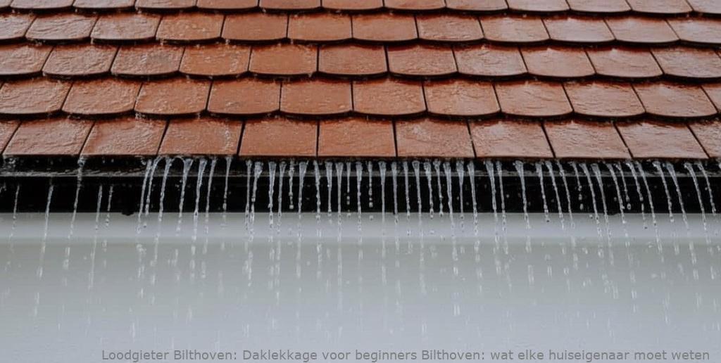 Daklekkage Voor Beginners Bilthoven