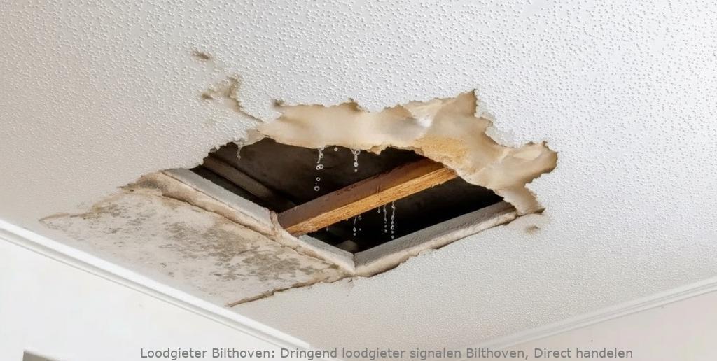 Dringend Loodgieter Signalen Bilthoven