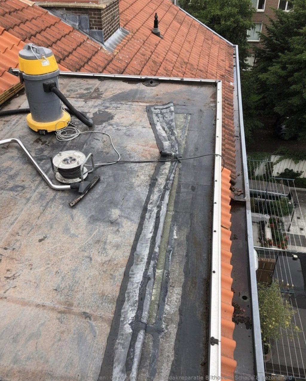 Gevolgen Vertraagde Dakreparatie Bilthoven
