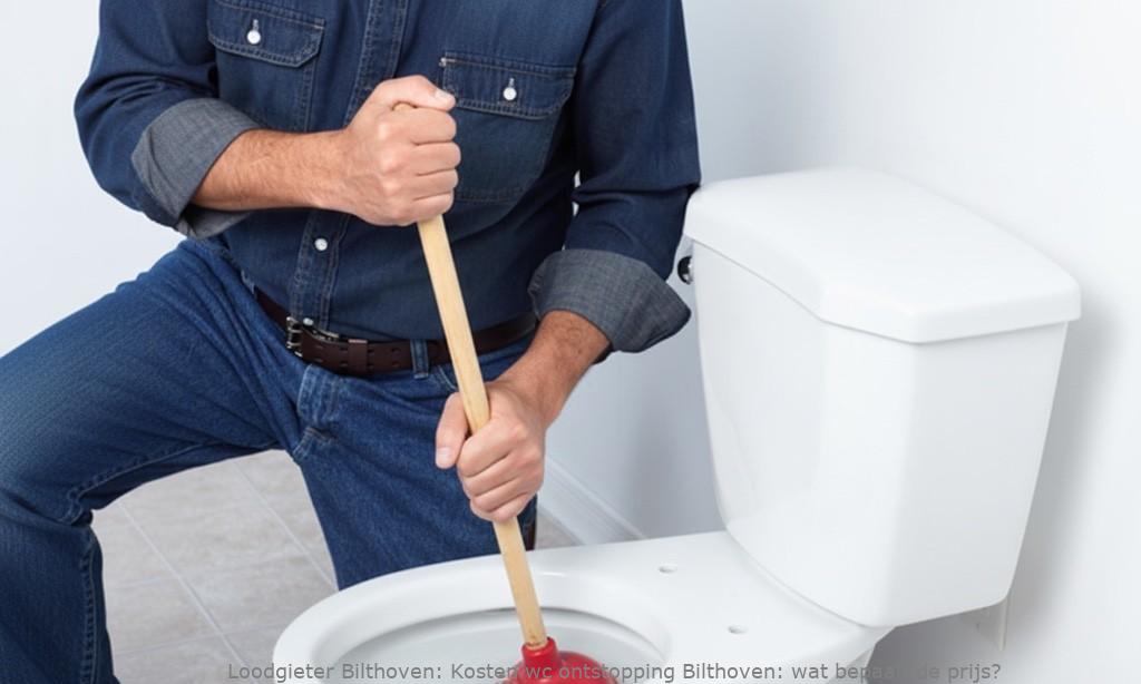 Kosten Wc Ontstopping Bilthoven
