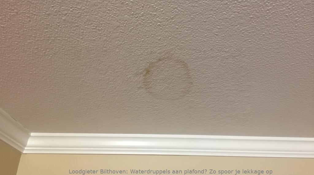Lekkage Plafond Bilthoven