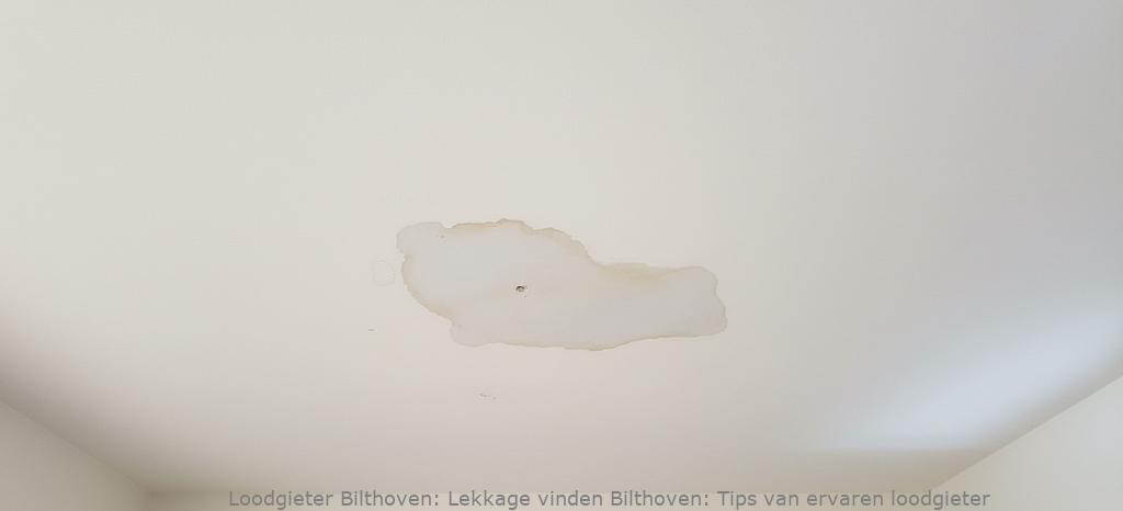 Lekkage Vinden Bilthoven