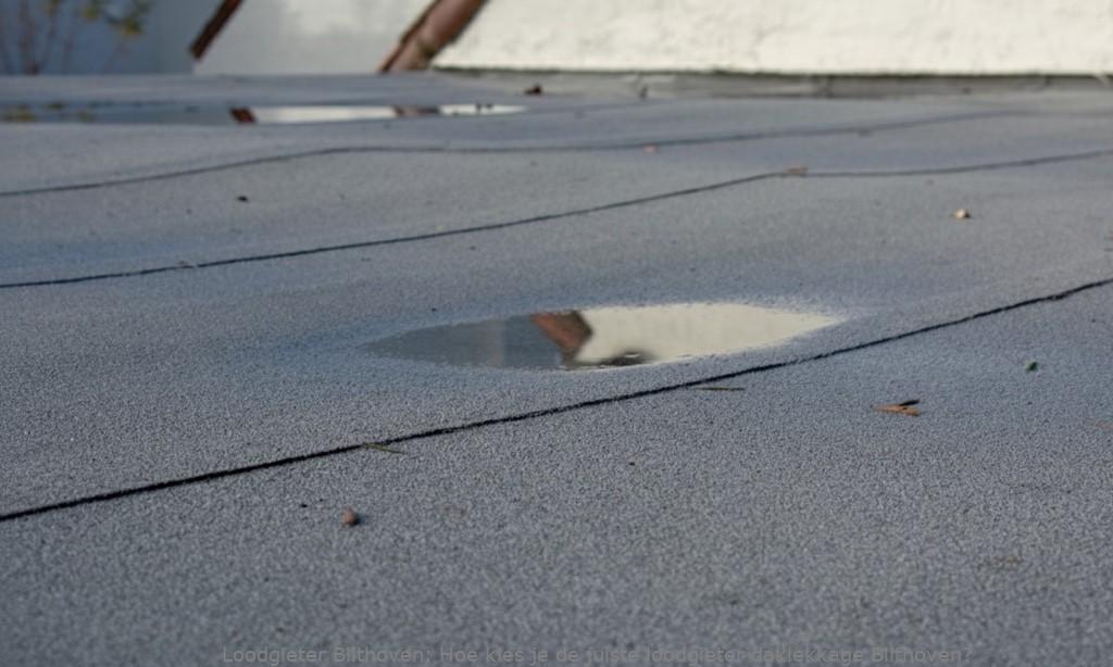 Loodgieter Daklekkage Bilthoven