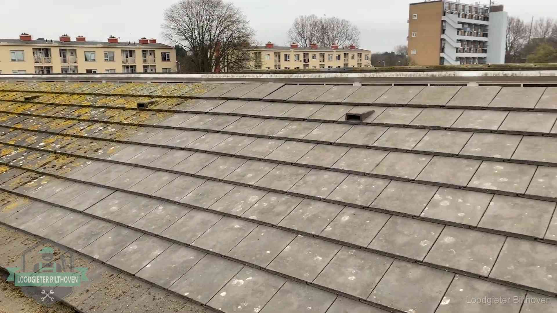 Dakpannen op een schuin dak in Bilthoven Schuin dak met betonpannen vol mos in Bilthoven, een risico op lekkage bij de pannen