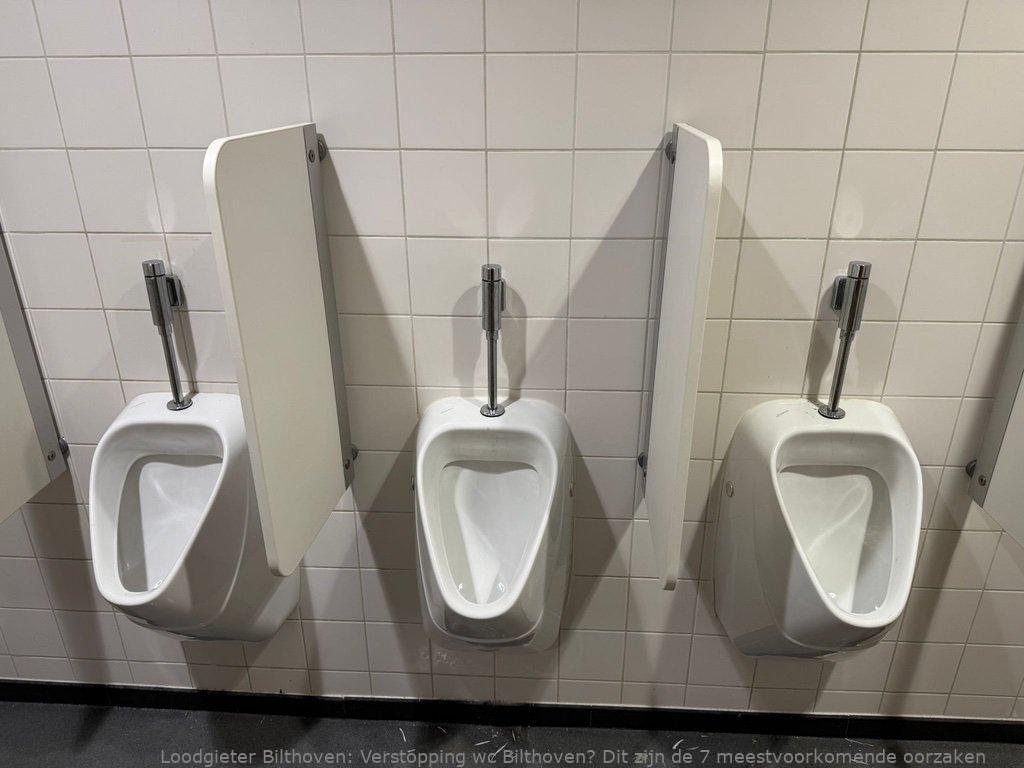 Verstopping Wc Bilthoven