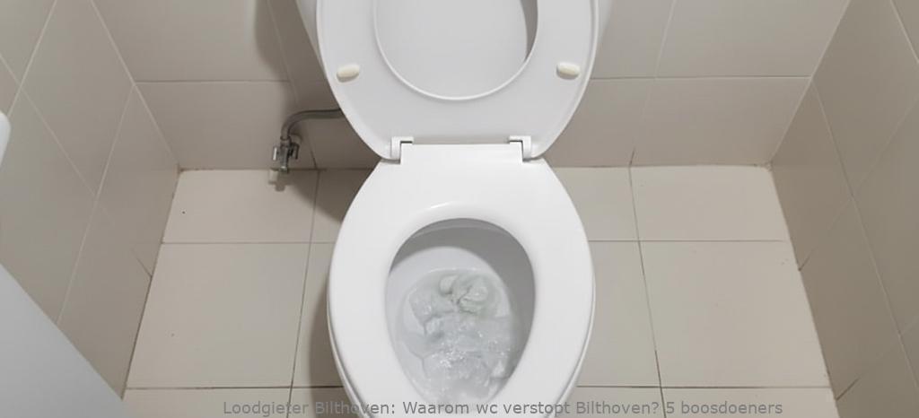 Waarom Wc Verstopt Bilthoven