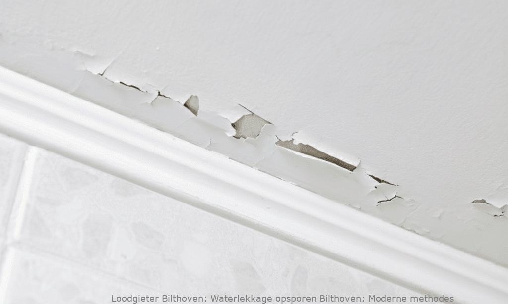 Waterlekkage Opsporen Bilthoven