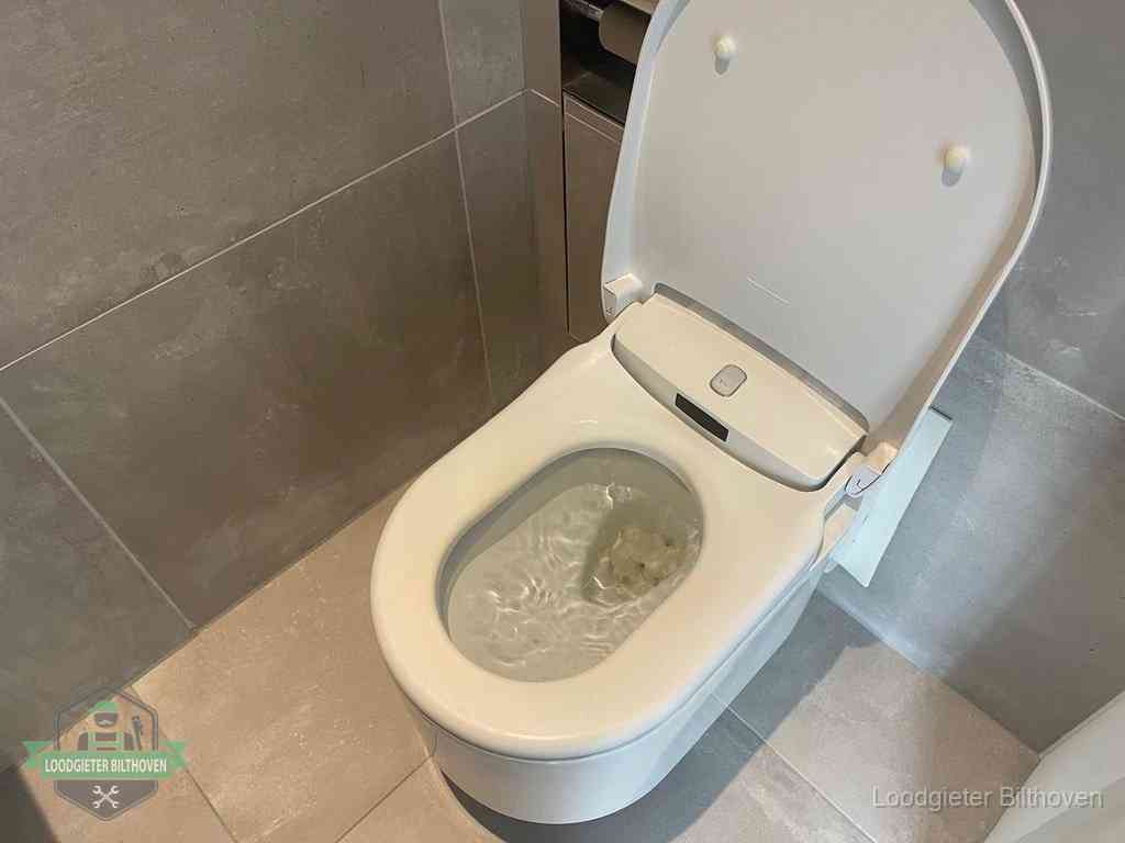 Wc Verstopt In Bilthoven
