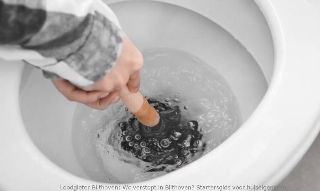Wc Verstopt Startersgids Bilthoven